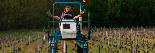 10 raisons pour un vigneron de faire du vin bio !