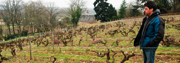 Michel Autran, vigneron tranquille à Vouvray