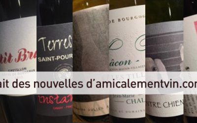 Et si on vous donnait un peu de nouvelles d’Amicalementvin.com ?